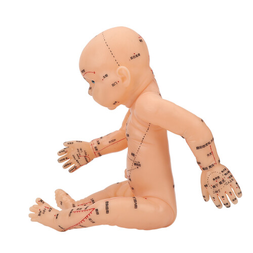 Akupunktur-Modell Kindertraining Puppe mit Akupunktpunkten 2