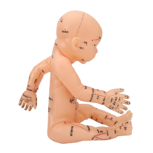 Akupunktur-Modell Kindertraining Puppe mit Akupunktpunkten 1
