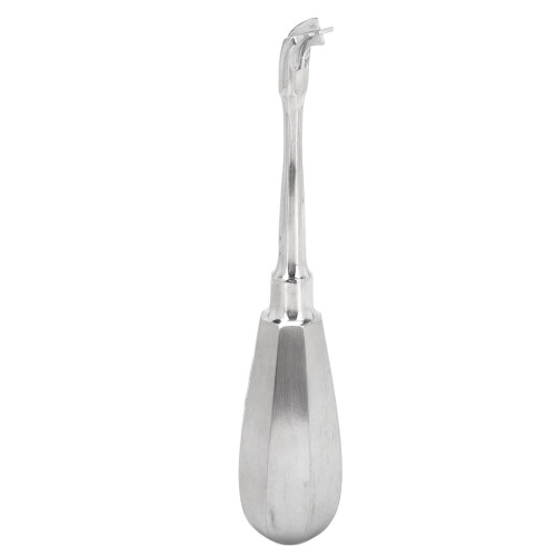 Elevatore Estrattore Corone Acciaio Inox 1