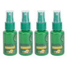 30ml 4PCS Ginger Hair Growth Spray Nourishing Serum for Scalp