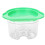 Plastic Agar Box für Zahnmodellsätze 3
