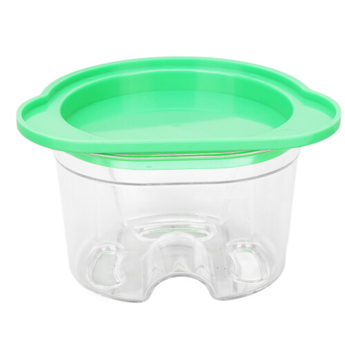 Plastic Agar Box für Zahnmodellsätze 2