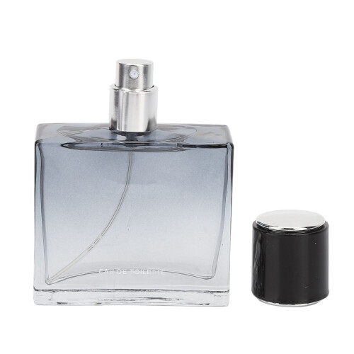 Herrenduft 50ml Leichte Düfte Elegant 1