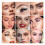 ibcccndc Augenbrauen-Styling-Set mit Dauerwelle 2
