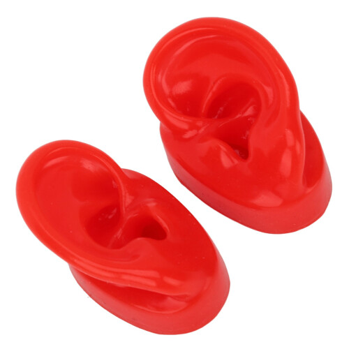 (Red) Simuliertes Ohrmodell für Akupunktur, Grün 1