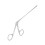 Stainless Steel Ear Forceps Pliers 4.3in 5