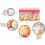 7pcs Yoni Pearls Anti Cellulite Slimming 5
