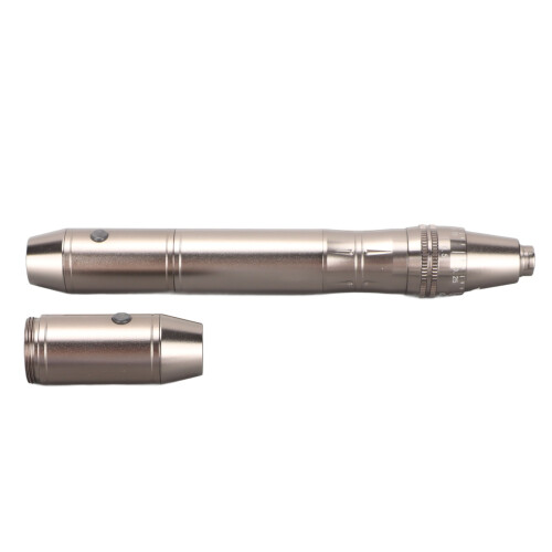 (EU Plug) Cordless Micro Needling Pen 100-240V EU Plug 1
