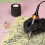 ATOMUS Tattoo Set Orange Rotary Pen + Needles + Power Supply 4