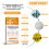 EELHOE Hydrocolloid Acne Pimple Patch 5PCS/Box Portable 1