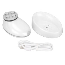 EMS RF Face Lift Device