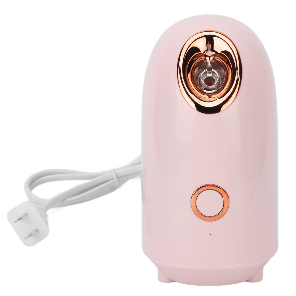 (220V CN Plug) Facial Steamer 100ml Nano Ion 220V CN Plug