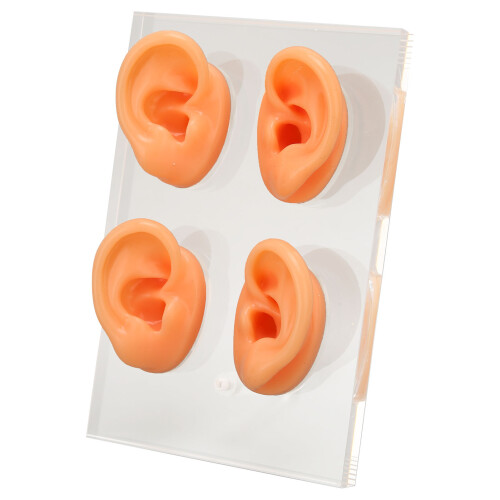 Anatomisch oormodel siliconen acryl standaard 1