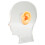 Stampo Orecchio Silicone Morbido con Supporto Acrilico 5