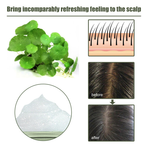 EELHOE Centella Sea Salt Shampoo Oil Control Dandruff 100g 2
