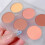 (Type A) 6-farbige matte Rouge-Palette Gesichtskontur Kosmetik 4