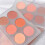 (Type B) 6-farbige matte Rouge-Palette Gesichtskontur Kosmetik 3