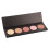 5-farbig Perlglanz Highlighter Palette, 3D Kontur 1