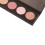 5-farbig Perlglanz Highlighter Palette, 3D Kontur 5
