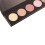 5-farbig Perlglanz Highlighter Palette, 3D Kontur 4