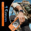 For iPhone 17 360° Full Body Waterproof phone Case Orange 4