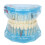 Blauw transparant afneembaar tanden les model 5