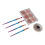 Set ombretto waterproof 6+5 colori + pennelli 2