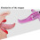 BDSM G-Spot Vibrator Butt Plug Set 4
