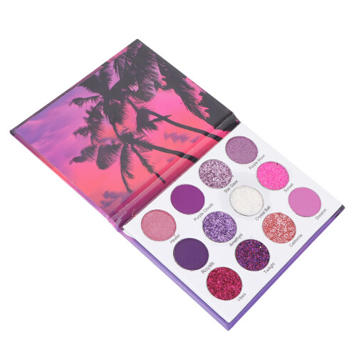 12-kleur oogschaduw DIY make-up kit 12g 2