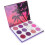 12-kleur oogschaduw DIY make-up kit 12g 2