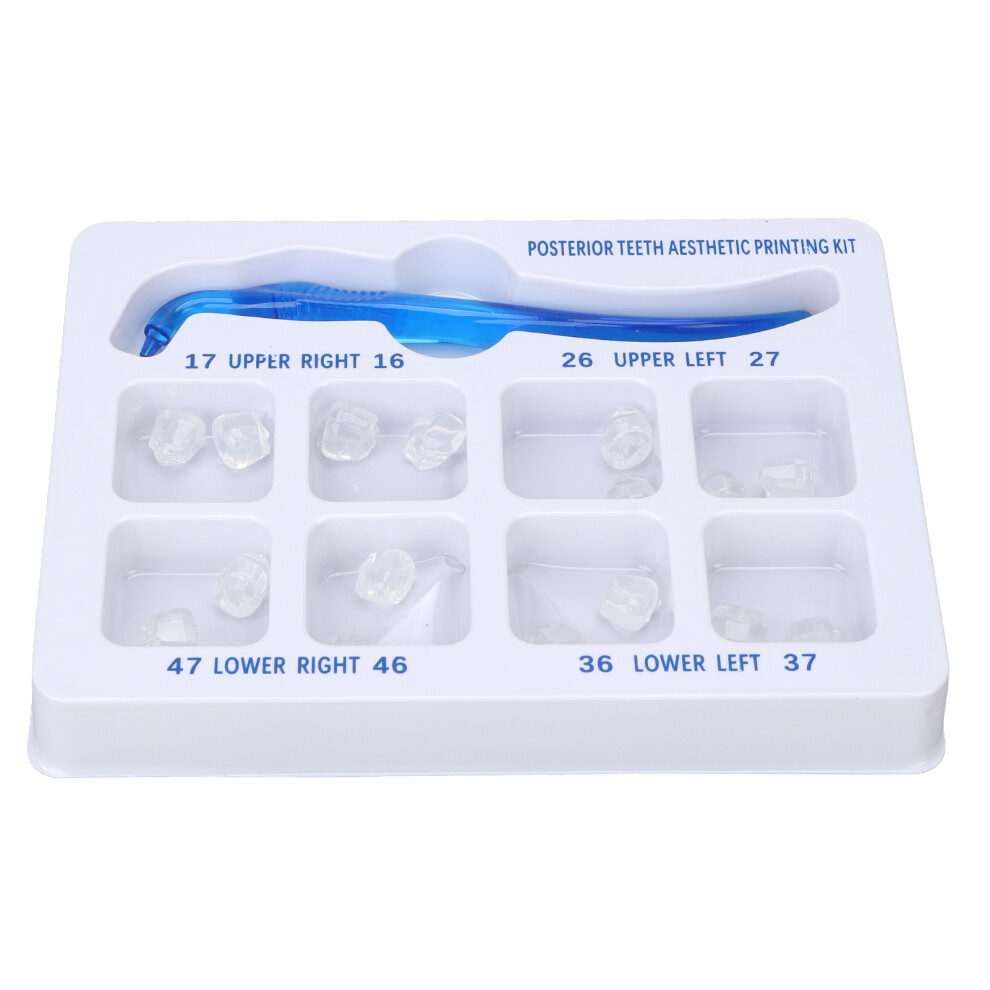 Posterior Teeth Aesthetic Printing Kit Rubber Dental Orthodontic Tool