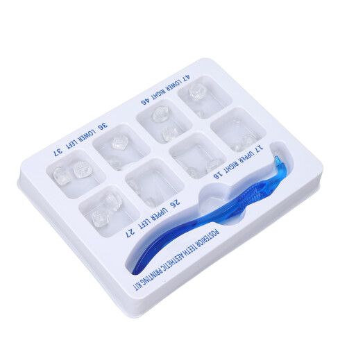 Posterior Teeth Aesthetic Printing Kit Rubber 2