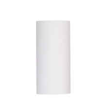 (Replaceable Core) Lint Roller Pet Hair Dust Cleaner for Furniture