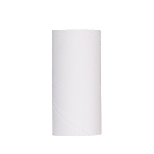 (Replaceable Core) Lint Roller Tierhaar- & Staubreiniger für Möbel
