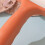 (Pink) Lintroller voor huisdierhaar en stof 4