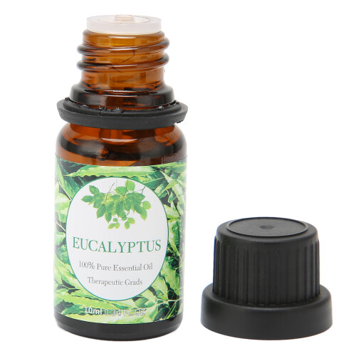 (Eucalyptus) Aromatherapie Massage Etherische Olie 10ml Eucalyptus Vermoeidheid 1