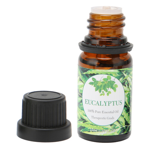 (Eucalyptus) Aromatherapie Massage Etherische Olie 10ml Eucalyptus Vermoeidheid 2