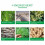 Bamboo Vinegar Detox Foot Pads 5