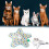 Participatory Auto Puss Toy Clandestineness Game Simulation-1 2