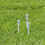 10Pcs Metall Gräsmattaaeratorer Ersättningspinnar 6
