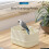 Parrot Potty Training Platform Desktop Perch Stand with-Style1 4