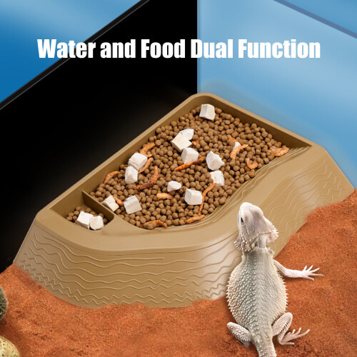 Split Design Turtles Bathing Pool And Food Dish-Reddish Brown 1