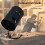 Rugged Construction Tool Bag with 1680D Fabric And High-black 2