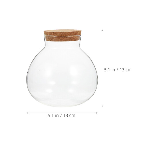 Rund Glasburk Terrarium Korklock För Sukkulenter Luftväxter 1