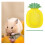 Två Ananasformade Keramikskålar För Hamsterföda 6