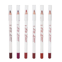 (#01) 6 Stk wasserfeste matte Lipliner #02, pigmentiert