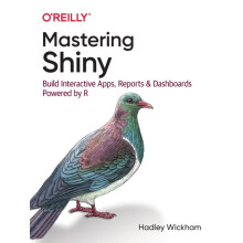 Mastering Shiny by Hadley Wickham Paperback Book