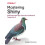 Mastering Shiny by Hadley Wickham Paperback Book 1