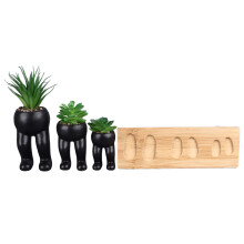 3PCS Artificial Succulent Plants in Ceramic Pots with Tray