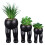 3PCS Artificial Succulent Plants in Ceramic Pots with Tray 4